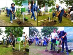 Penanaman 10.000 Pohon di Kuta Mandalika: Melindungi Alam dan Meningkatkan Estetika