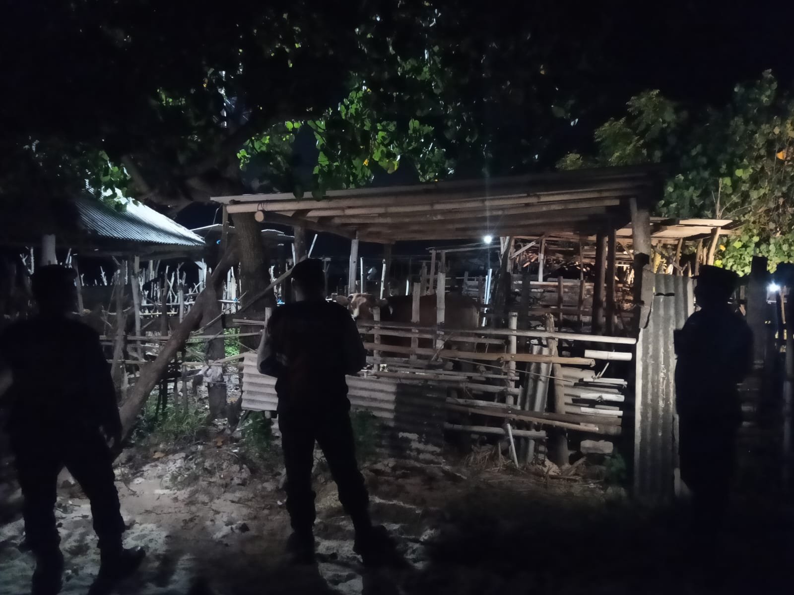 Polsek Sekotong Intensifkan Patroli Malam, Sasar Kandang Ternak Cegah Kejahatan