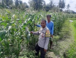 Sinergi Polri dan Petani Perkuat Ketahanan Pangan di NTB