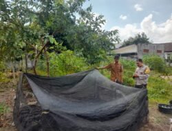 Sinergi Polisi dan Warga Gelogor Wujudkan Kemandirian Pangan Keluarga