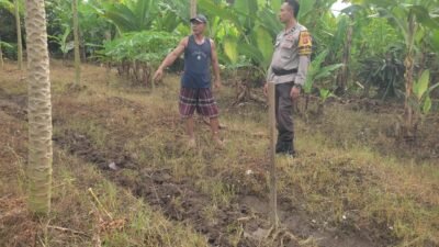 Polsek Labuapi Ajak Petani Tanam Komoditas Strategis di Lahan Pekarangan