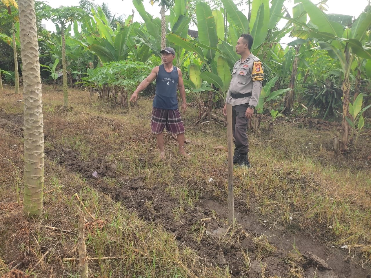 Bhabinkamtibmas Labuapi Gandeng Petani Tingkatkan Ketahanan Pangan dan Jaga Kamtibmas