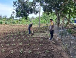 Bhabinkamtibmas Aktif Edukasi Pertanian Rumah Tangga di Sekotong