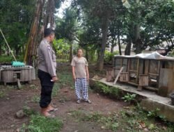 Lahan Kosong di Desa Senggigi Disulap Jadi Sumber Pangan Produktif