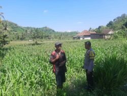 Ketahanan Pangan Nasional: Polri Turun ke Ladang Petani Lombok