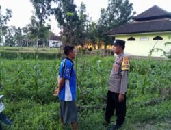 Sinergi Polisi dan Petani di Kuripan Wujudkan Swasembada Pangan