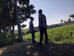 Pemanfaatan Lahan Kosong di Kuripan untuk Kemandirian Pangan