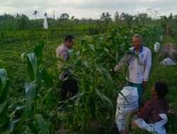 Langkah Strategis Petani Grepek Didorong Bhabinkamtibmas