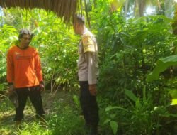 Pemanfaatan Lahan Kosong, Polri Perkuat Ketahanan Pangan NTB