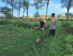 Sinergi Polri-Warga Pelangan Wujudkan Swasembada Pangan