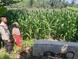 Pendataan Pertanian oleh Polsek Lembar di Sekotong Timur