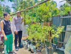 Bhabinkamtibmas Bajur Edukasi Warga Manfaatkan Pekarangan