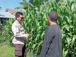 Dukung Ketahanan Pangan, Bhabinkamtibmas Sambangi Petani di Lembar