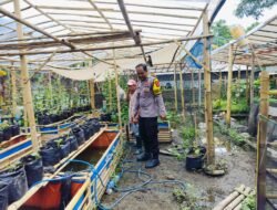 Ketahanan Pangan di Lombok Barat: Polsek Labuapi Fasilitasi Pemanfaatan Lahan Kosong