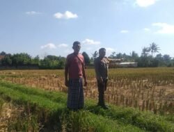 Desa Jagaraga Jadi Percontohan Ketahanan Pangan Berbasis Keluarga