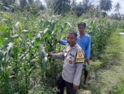 Polri Aktif di Sawah: Ketahanan Pangan Jadi Fokus Bhabinkamtibmas Kediri
