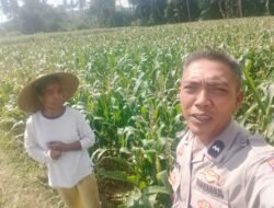 Ketahanan Pangan Berbasis Rumah Mulai Diterapkan di Karang Rumak