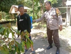 Ketahanan Pangan Desa Merembu Didorong Lewat Jalan Usaha Tani Baru