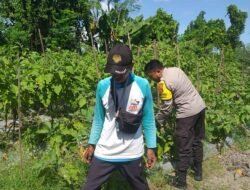 Polres Lombok Barat Gencarkan Program Pangan di Jagaraga