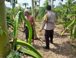 Ketahanan Pangan Diperkuat, Polres Lombok Barat Turun ke Ladang
