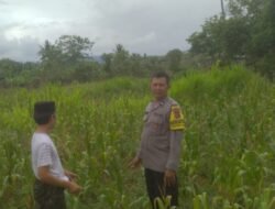 Kolaborasi Kamtibmas dan Ketahanan Pangan di Sekotong Tengah Terus Ditingkatkan