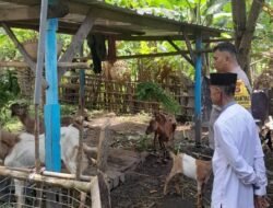 Dari Senggigi untuk NTB: Gerakan Polsek Batulayar Menanam dan Mandiri Pangan