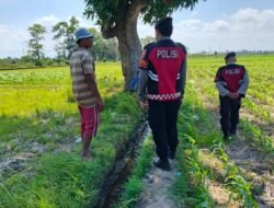 Patroli Polres Lombok Barat Jaga Keamanan Lahan Jagung