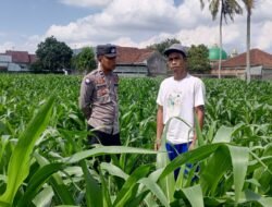 Pendekatan Humanis Polsek Kuripan: Sosialisasi Pangan dan Kamtibmas di Dusun Due Pelet